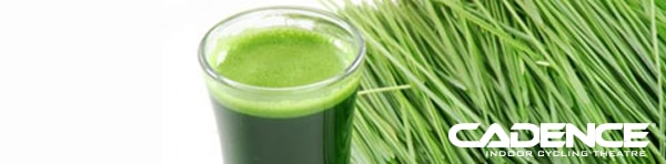 CadenceTitleBanner_WheatGrass1